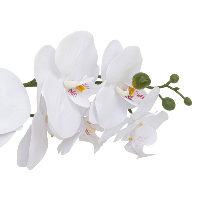Orchid Pot CLERA H5