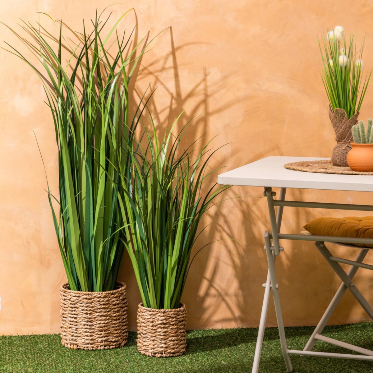 Lin Bunch Plant