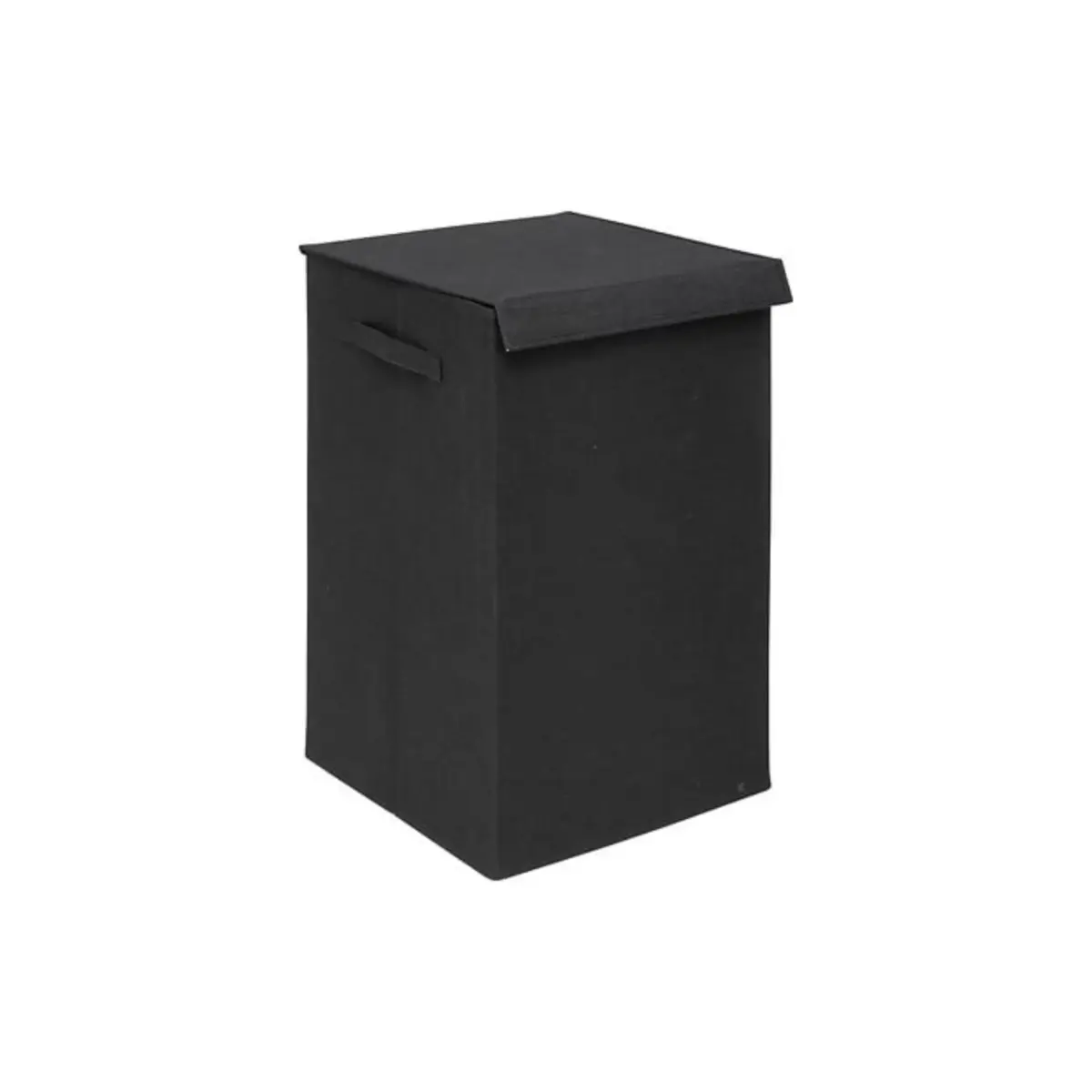 206923J.webp Laundry Basket 74L