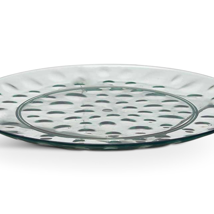 Plastic Dinner Plate