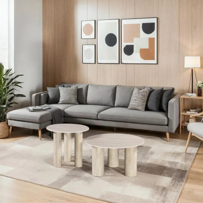 Coffee Table Set