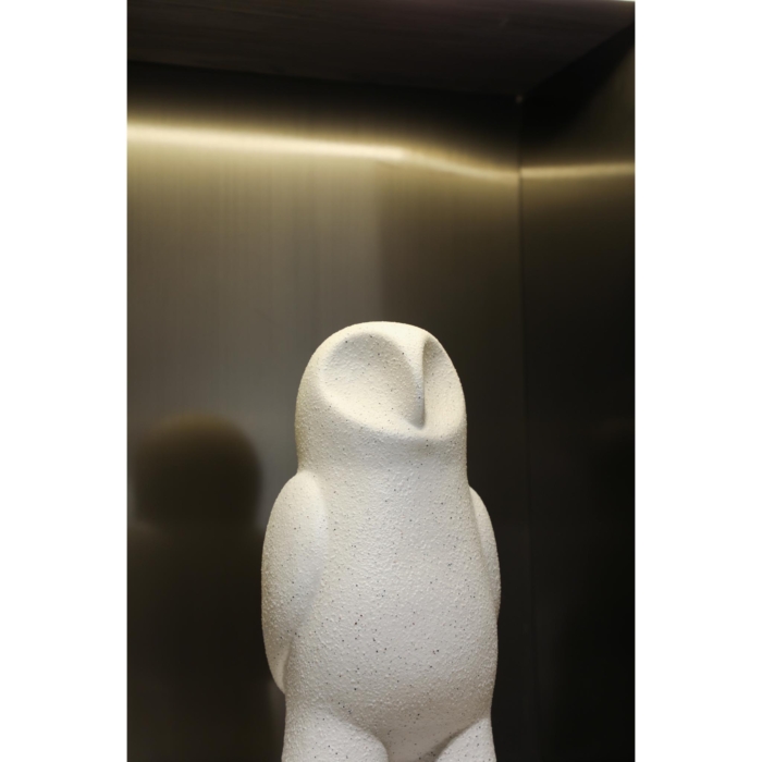 FD-D24077-3.jpg White Sand Owl