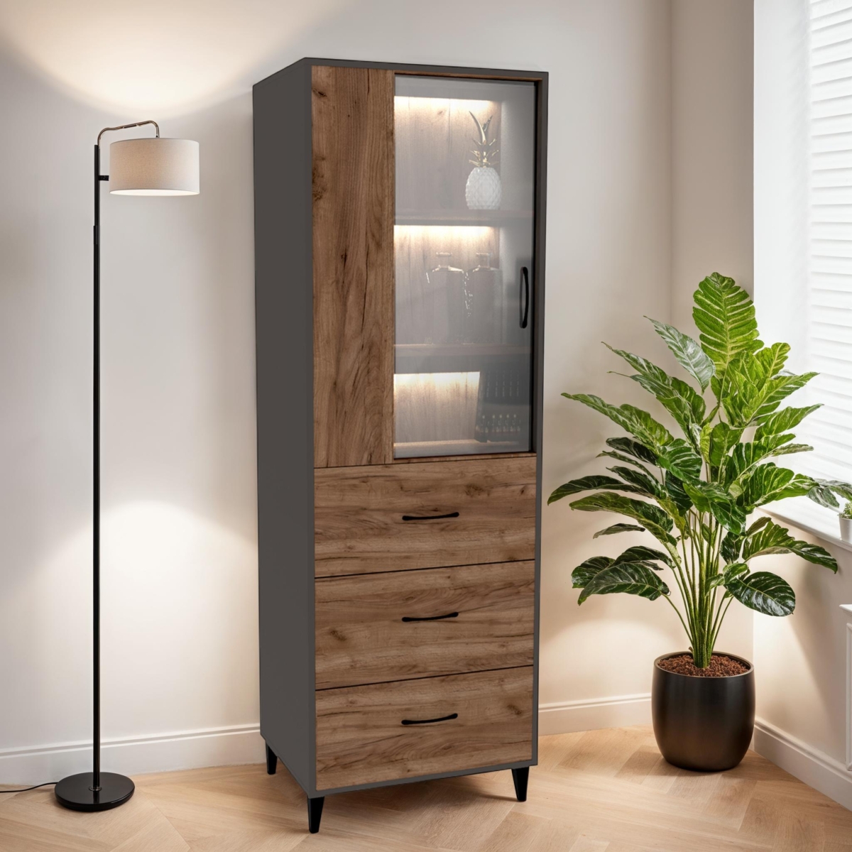 CABSY Cabinet