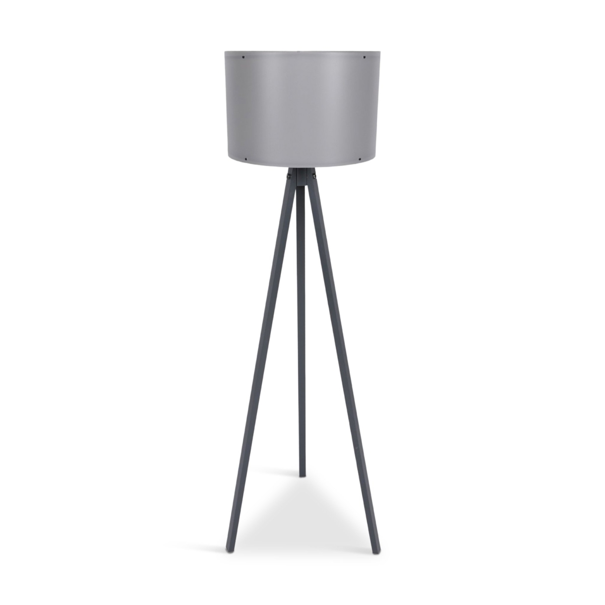 CAGNEY Floor Lamp