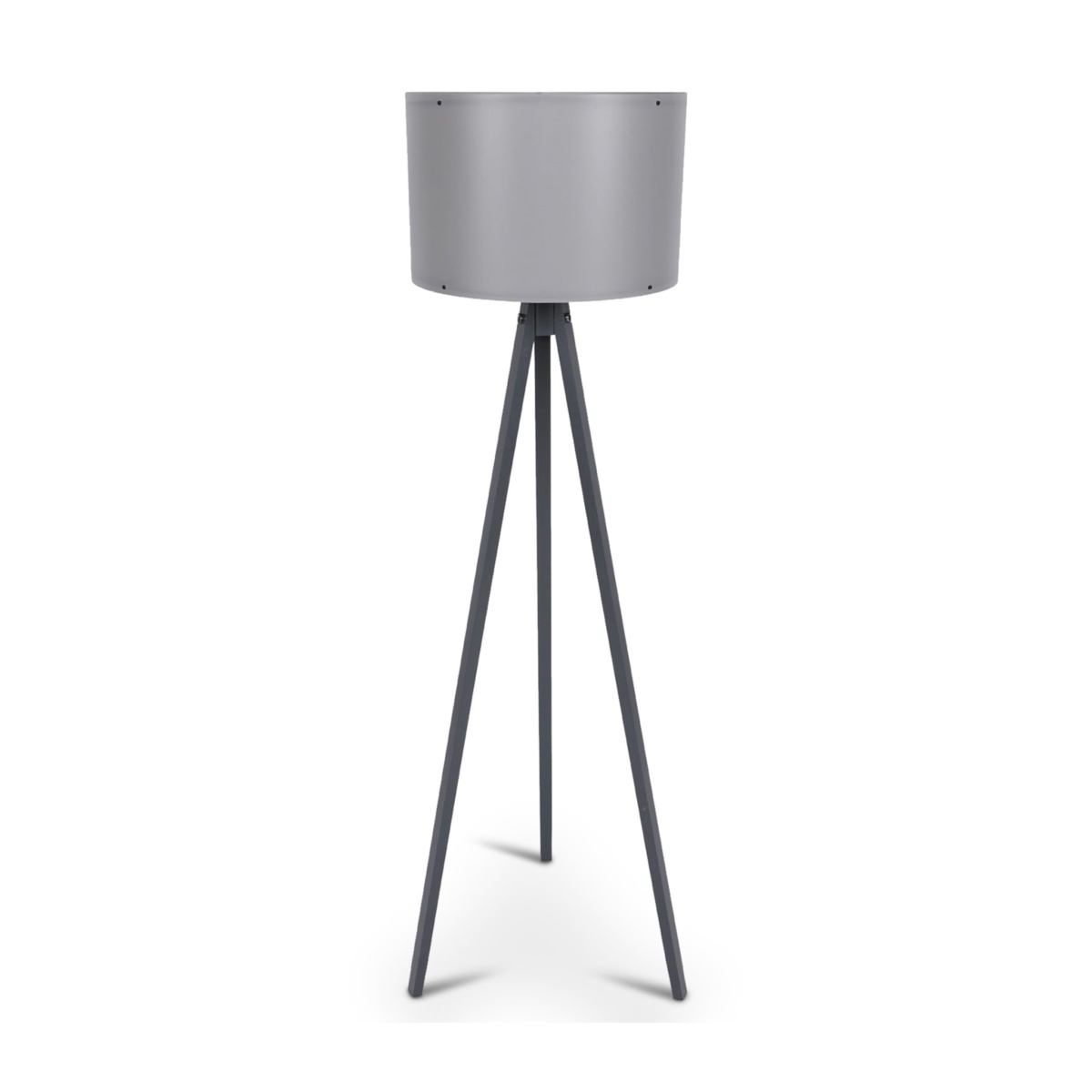 CAGNEY Floor Lamp