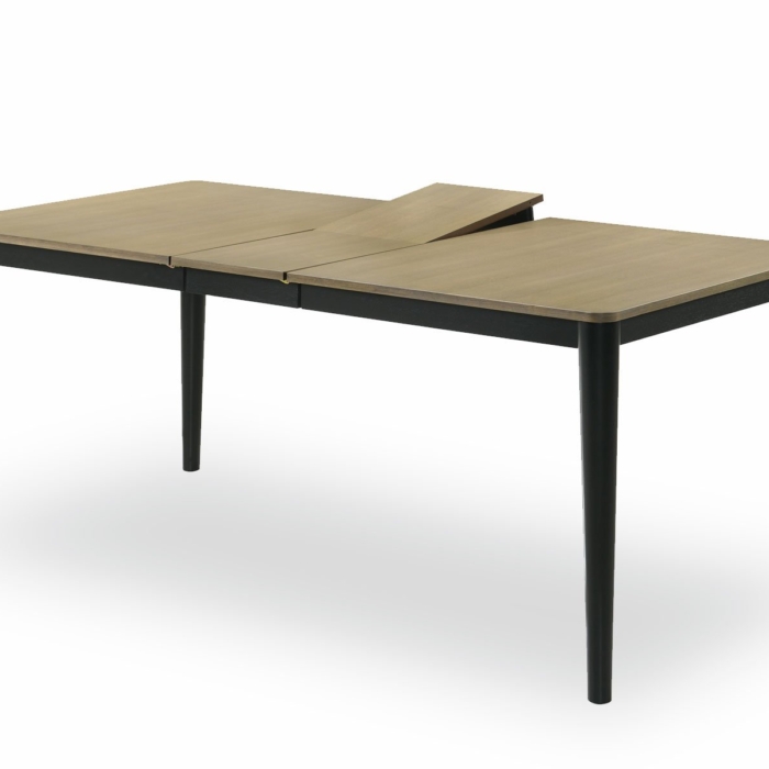 Adam Ext Table