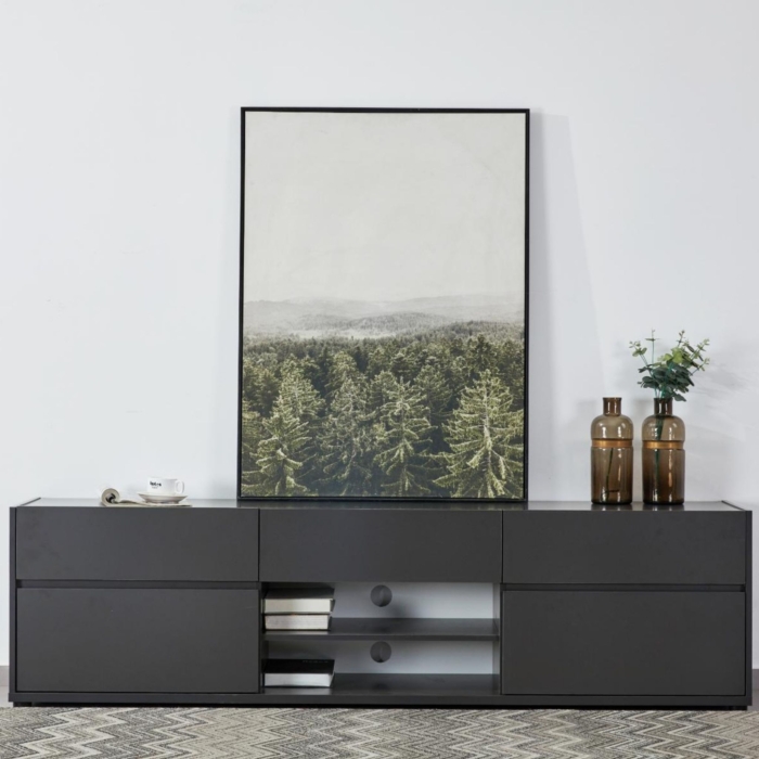 PEARLEX TV Unit