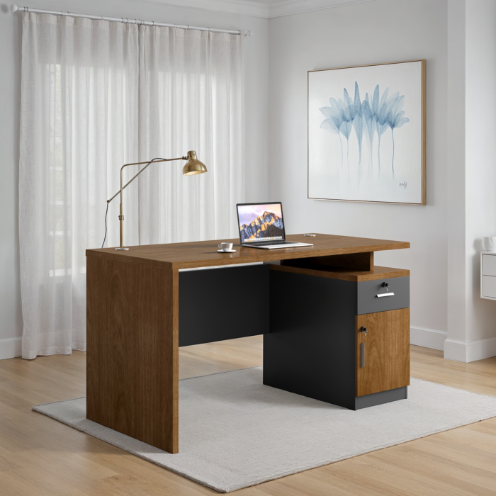 CHEMOSTRY Office Desk