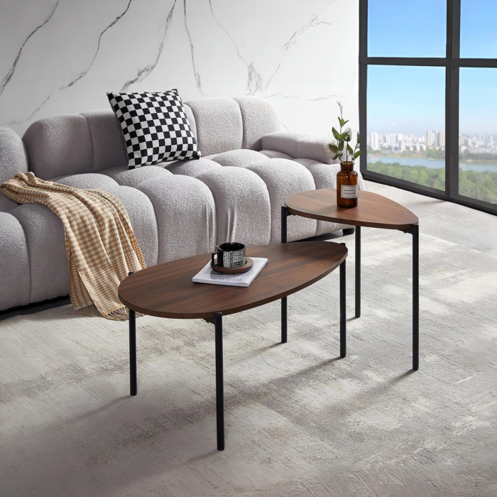 Coffee Table Set