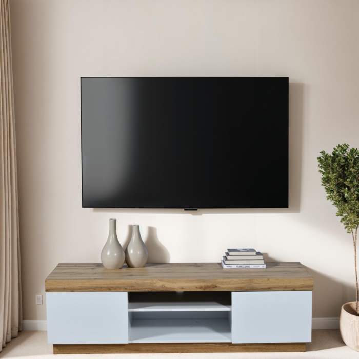 VISION TV Unit