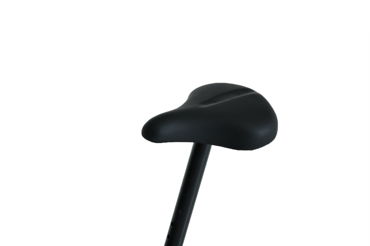 FLANDRIA Exercise Bike