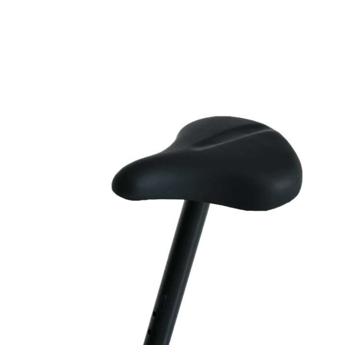 FLANDRIA Exercise Bike