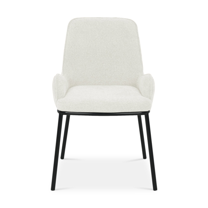 UDC23009-Q52-02-1.jpg JANOOM Dining Chair