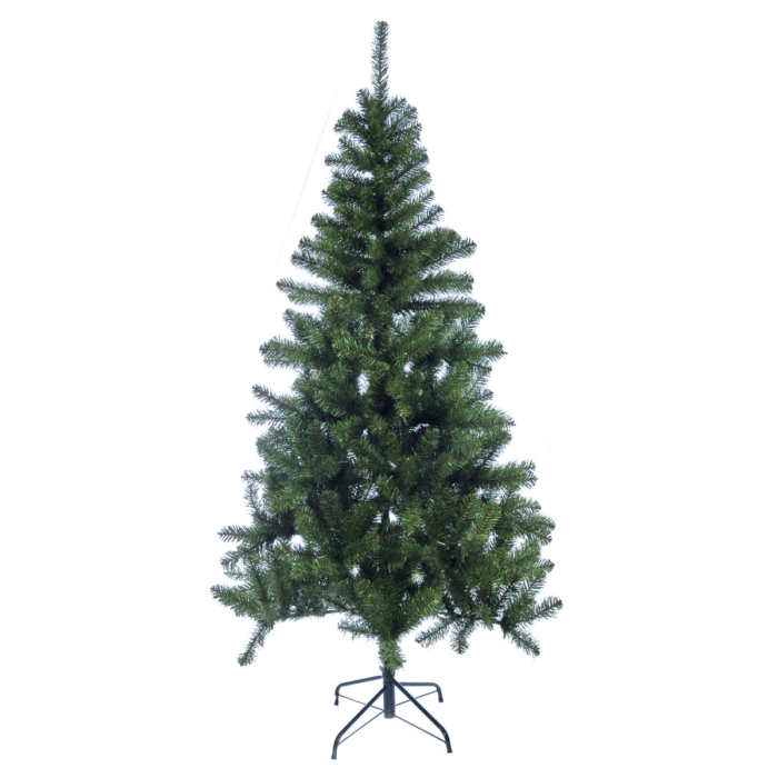 Colorado Xmas Tree