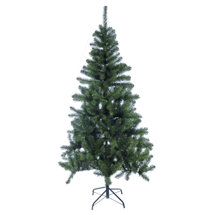 Colorado Xmas Tree