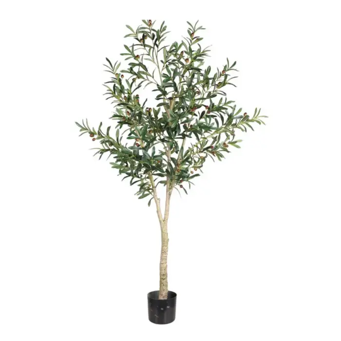 OLIVE TREE GREEN
