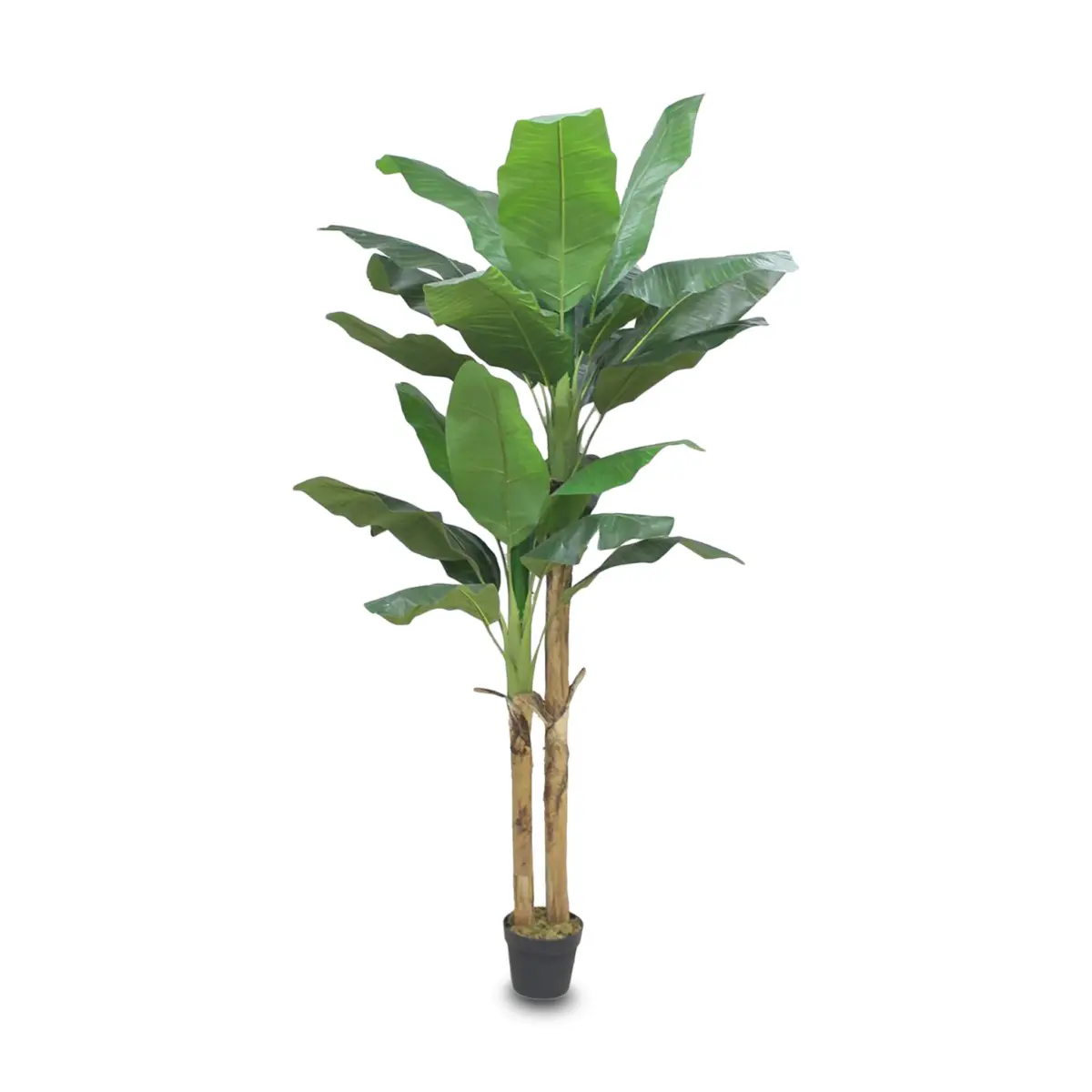 BANANA ARTIFICIAL TREE 220CM