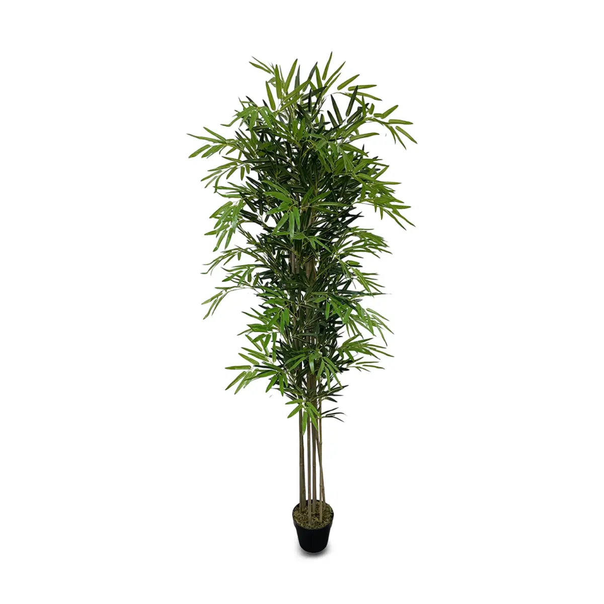 BAMBOO ARTIFICIAL TREE 200CM