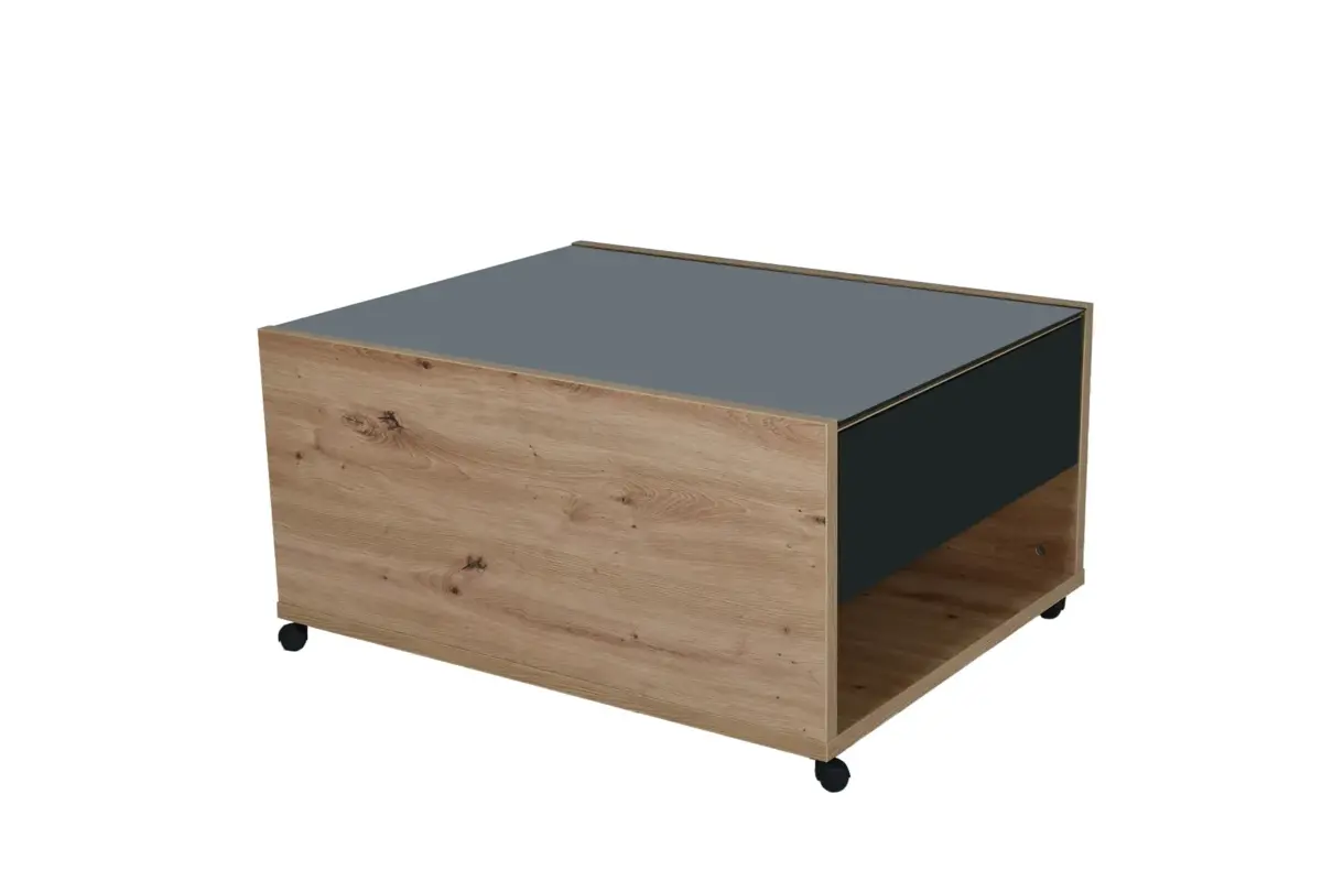 MOLISE Coffee Table