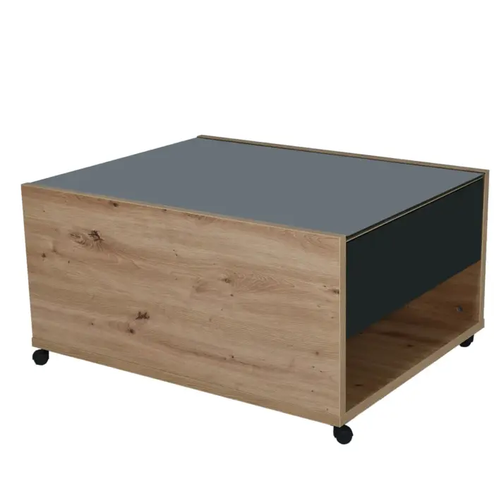 MOLISE Coffee Table