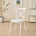 ALINA Plastic Chair