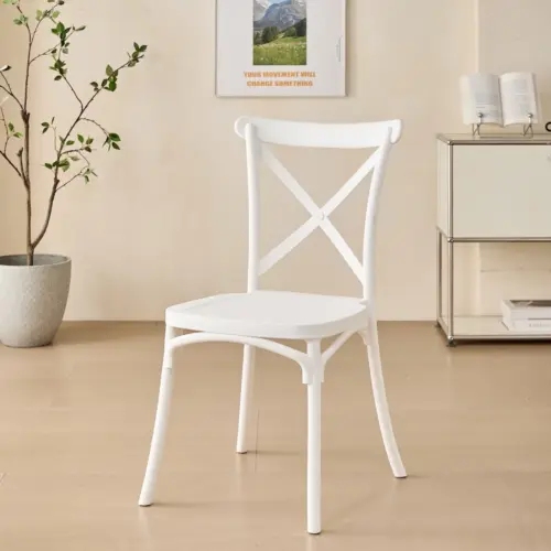 ALINA Plastic Chair