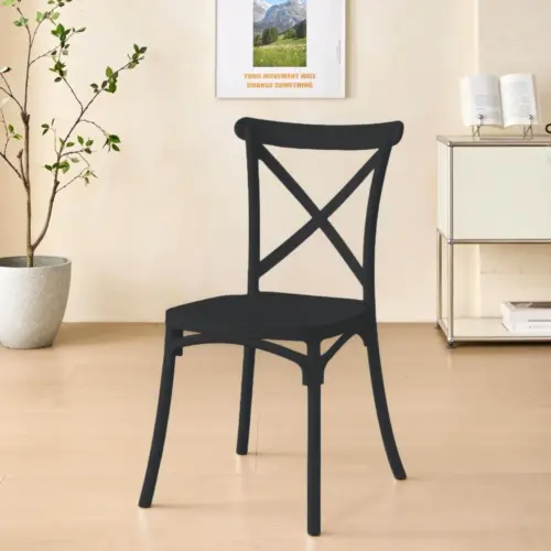 ALINA Plastic Chair