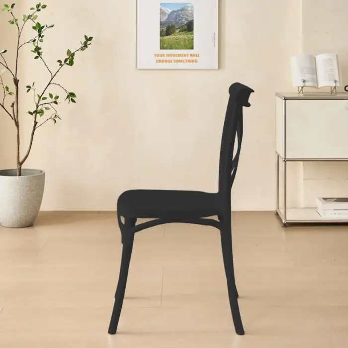 ALINA Plastic Chair