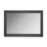 AISHA Mirror