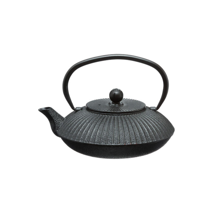 Garden Cast Iron Teapot