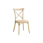 ALINA Plastic Chair