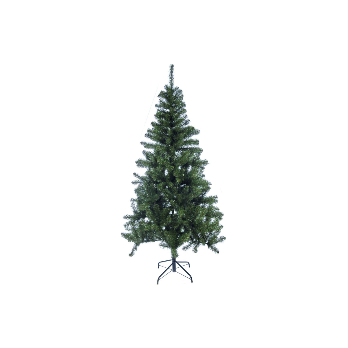 Colorado Xmas Tree